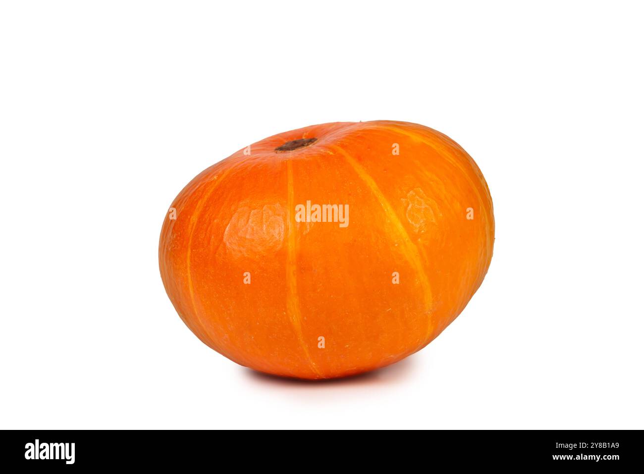 Cette citrouille orange vif met en valeur sa peau lisse et sa forme arrondie, idéale pour les décorations d'Halloween et les plats de Thanksgiving. Banque D'Images