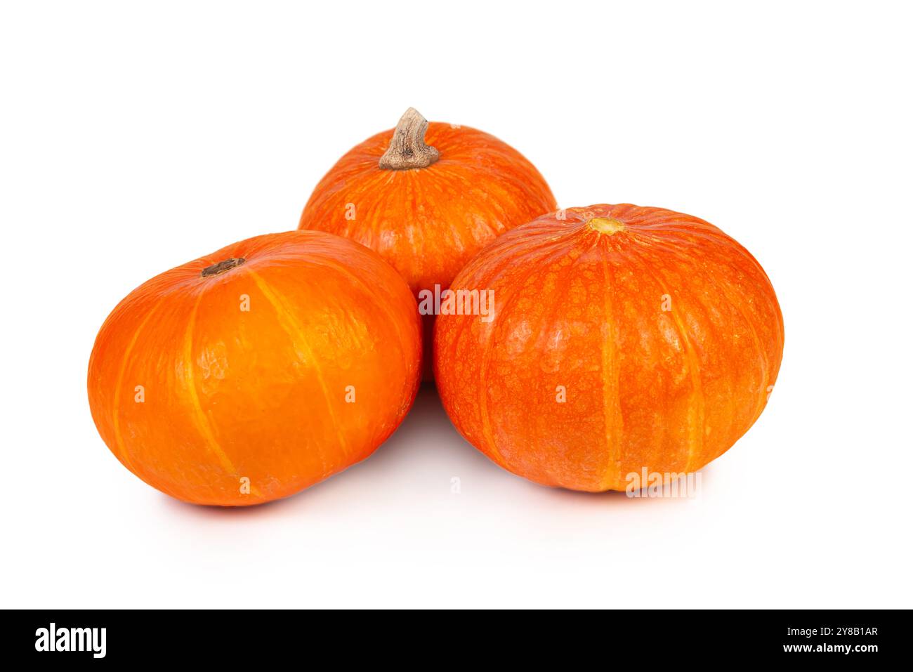 Cette citrouille orange vif met en valeur sa peau lisse et sa forme arrondie, idéale pour les décorations d'Halloween et les plats de Thanksgiving. Banque D'Images