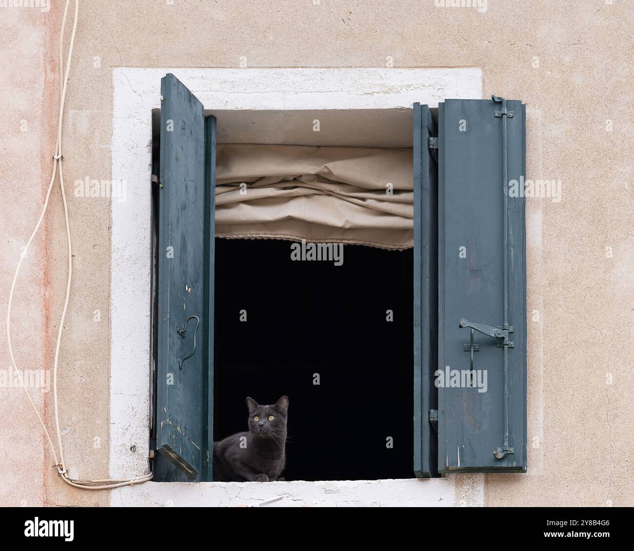 Chat gris foncé assis dans une fenêtre ouverte avec volets à Venise. Fenêtre ouverte avec volets, stores romains et chat gris foncé. Banque D'Images