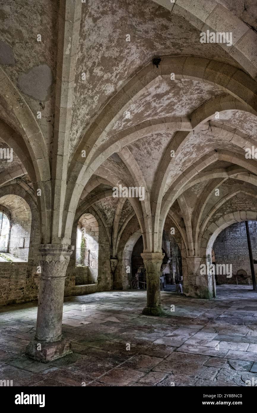 Abbaye de Fontenay, Bourgogne, France, Europe Banque D'Images