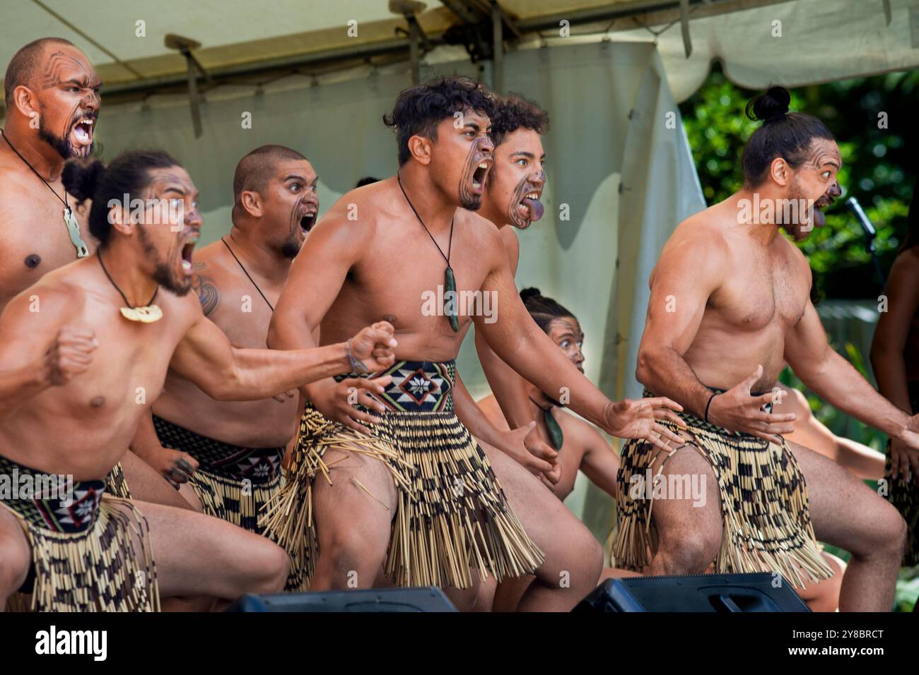 Le haka est un cri de guerre traditionnel, une danse de guerre ou un défi dans la culture Māori. Sur la photo, elle est exécutée pendant la journée de Waitingi. Le jour de Waitangi est le nat Banque D'Images