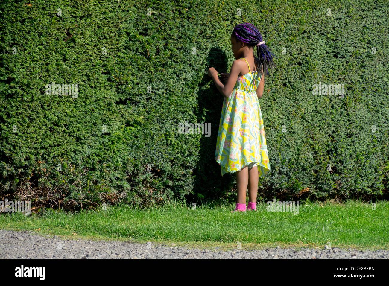 Jeune fille en robe d'été debout par une haie d'if Banque D'Images