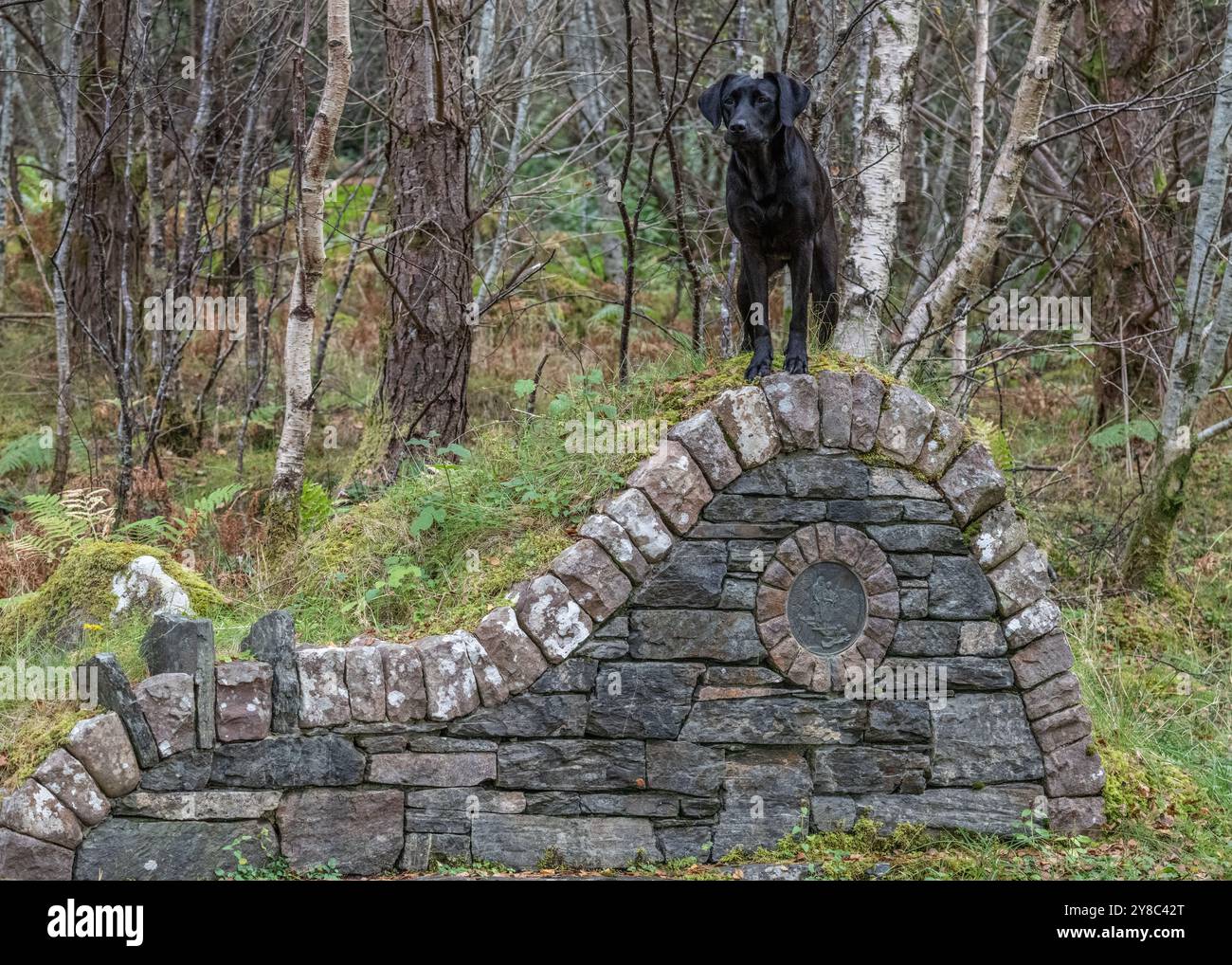 Flowerdale Glen & Waterfall, Gairloch, Wester Ross, Écosse Banque D'Images