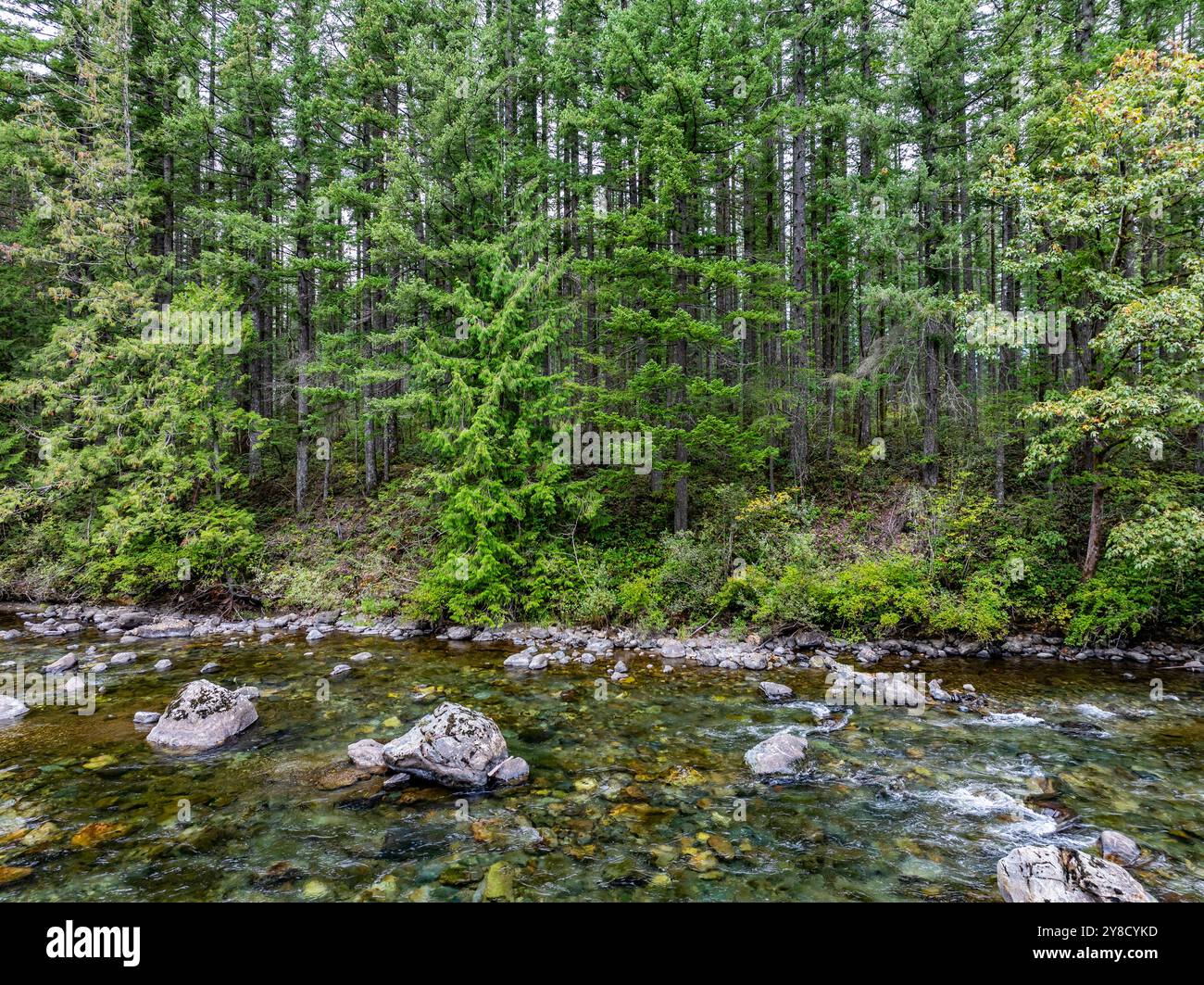 Vue de la rivière Snoqualmie depuis un drone à North Bend, Washington. Banque D'Images