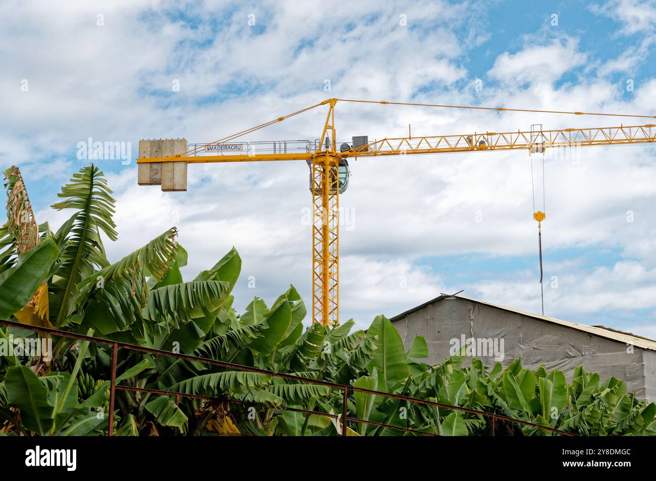 Grue de construction jaune s'élevant au-dessus des bananiers sous un ciel lumineux à Funchal Banque D'Images