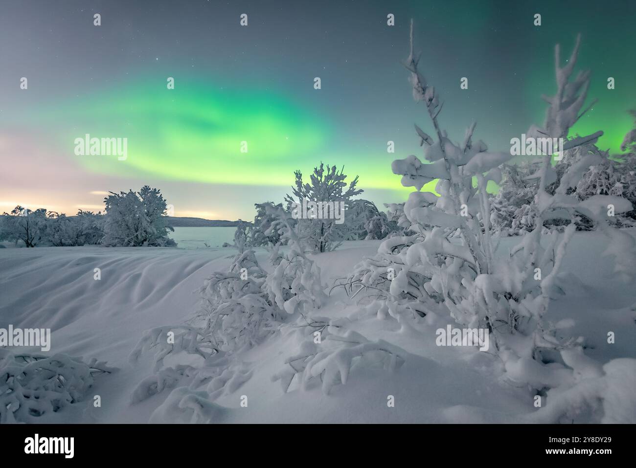 Lever de soleil d'hiver au-dessus de la forêt. Aube givrée sur un paysage enneigé. Banque D'Images