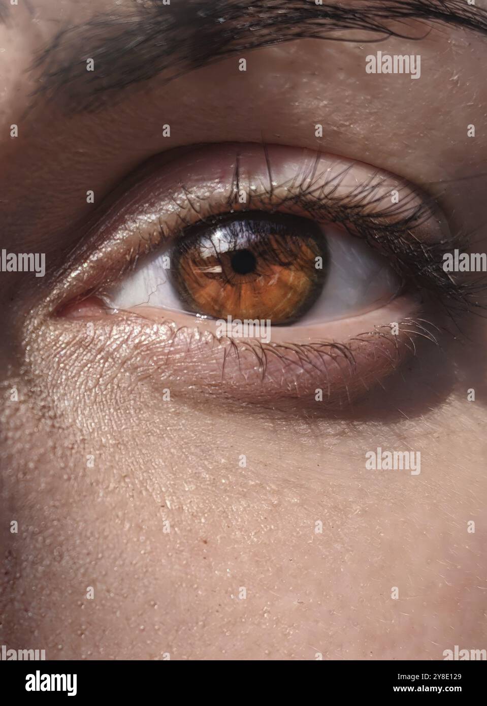 Images proches de l'oeil de femme, belle couleur brune de l'iris de l'oeil. Images de l'oeil de femme Banque D'Images
