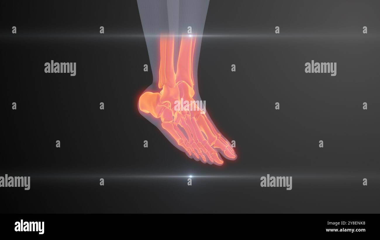 Examen futur du squelette humain par rayons X. Banque D'Images