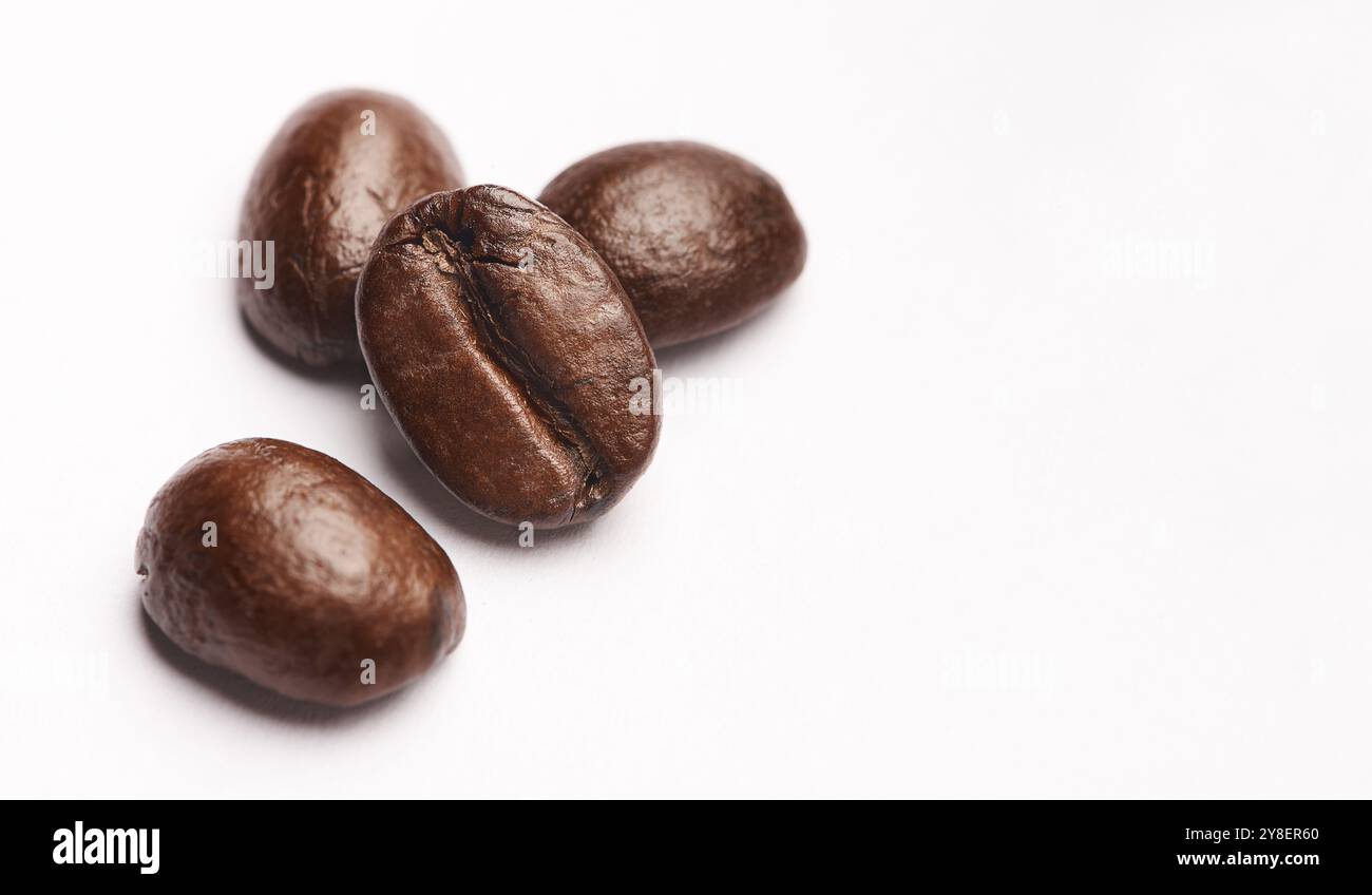 Studio, espace et grains de café bio sur comptoir avec caféine, réflexion et café petite entreprise. Espresso, grain et rôti frais avec saveur Banque D'Images