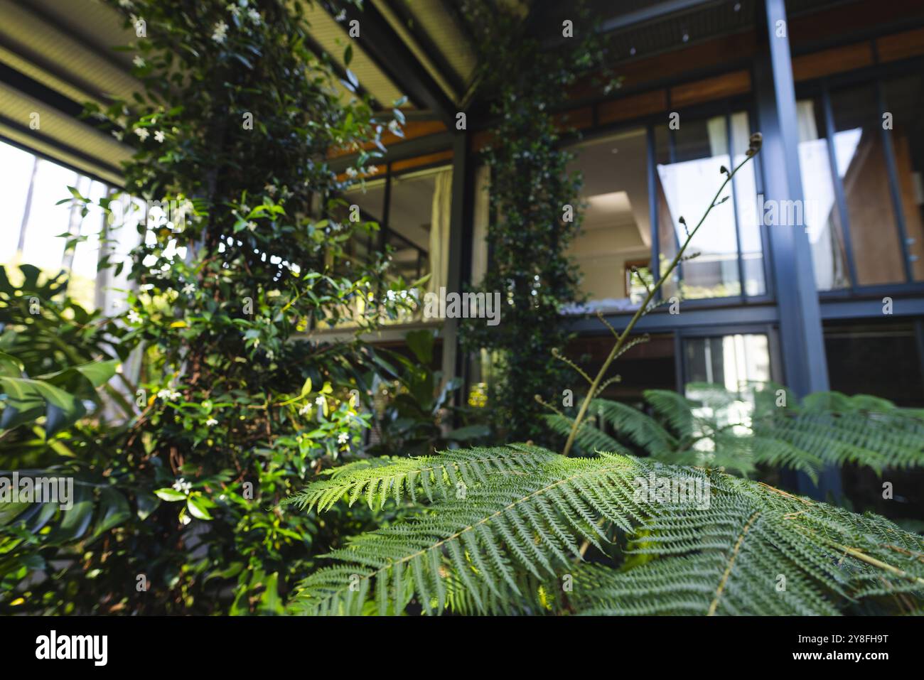 Grande maison vide moderne avec de grandes fenêtres en verre dans un grand jardin vert Banque D'Images