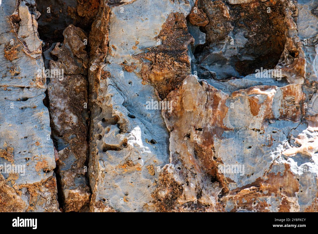 Une vue rapprochée de pierres compactes et de roches, révélant des textures géologiques détaillées et des formations naturelles, idéal pour les sciences de la terre ou le dos géologique Banque D'Images