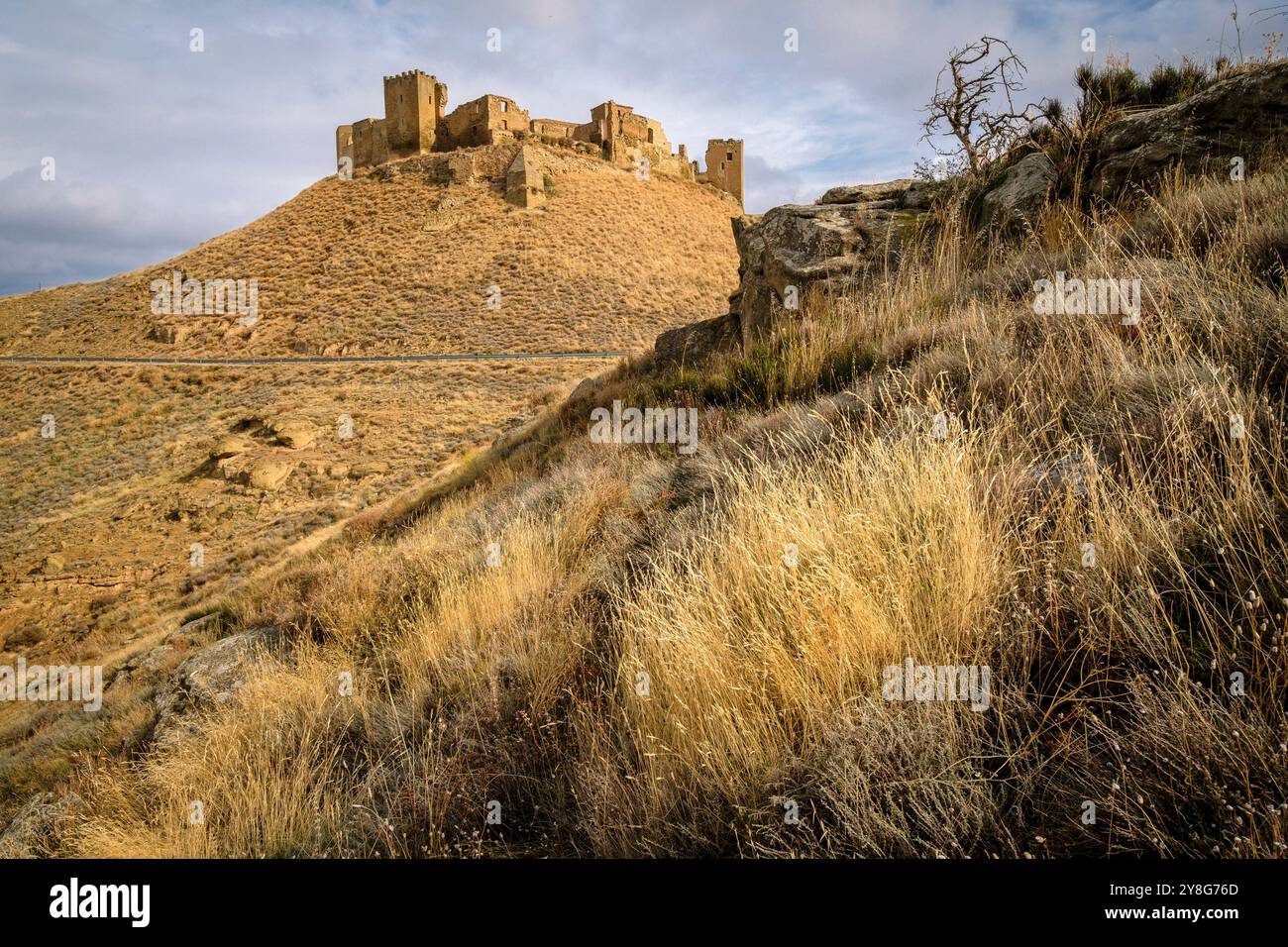 Château de Montearagón, XI siècle, municipalité de Quicena, Huesca, déclaré Monument National en 1931, cordillera pirenaica, provincia de Huesca, Aragón, Espagne, Europe. Banque D'Images