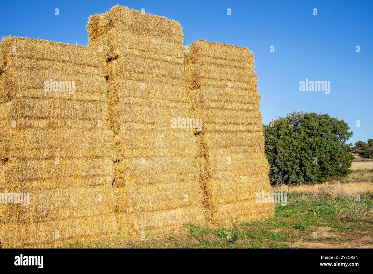 Balles de paille sèches empilées, Loporzano, Huesca, Aragon Community, Espagne. Banque D'Images