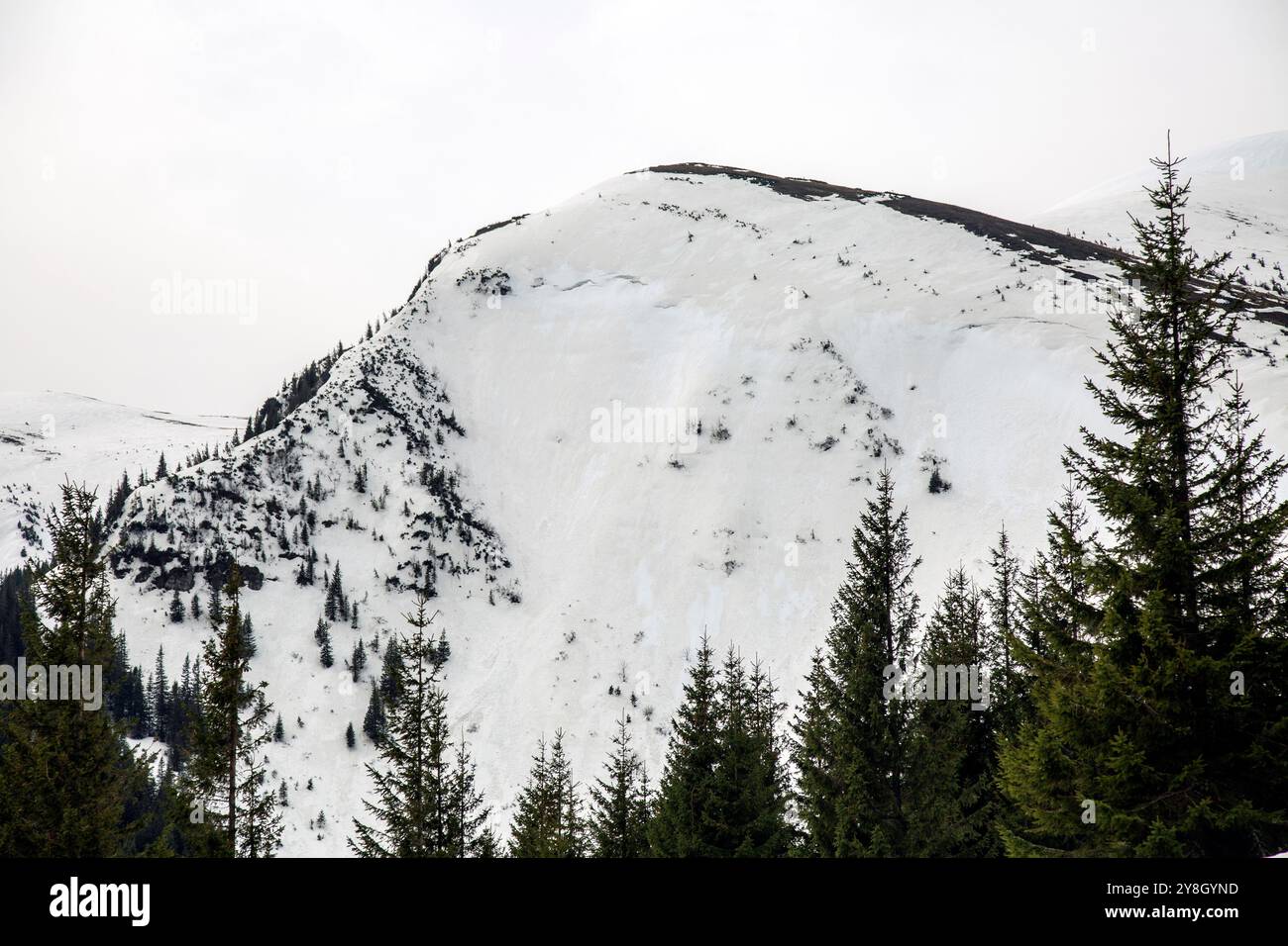 Le contraste saisissant entre la neige blanche et les rochers sombres et dentelés crée un sentiment d'admiration et d'émerveillement. Banque D'Images