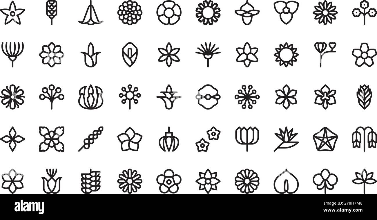 Icônes de fleurs tropicales Collection d'icônes vectorielles de haute qualité avec Stroke modifiable. Idéal pour les projets professionnels et créatifs. Illustration de Vecteur