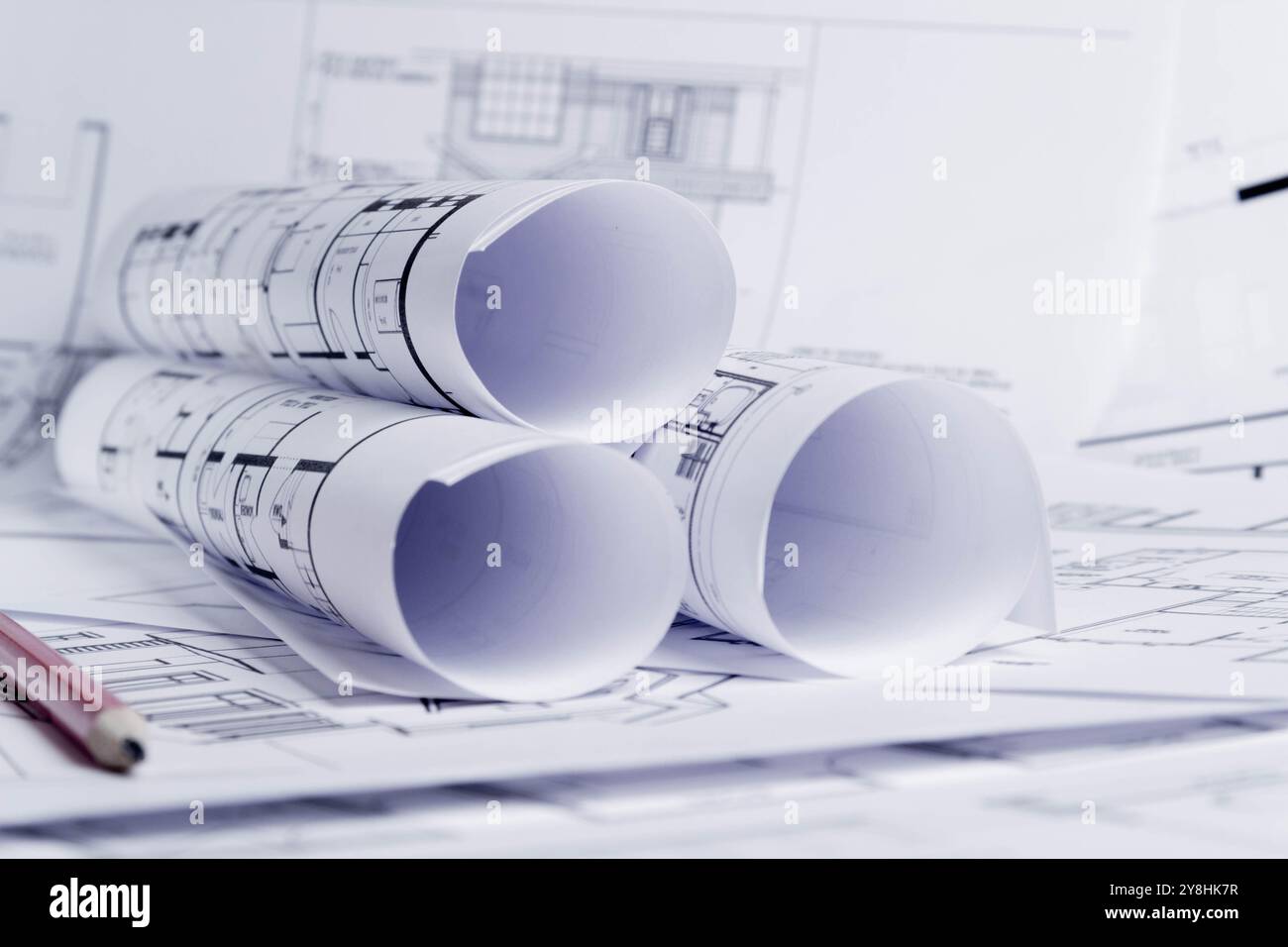 Plan de construction. Dessin de schéma enroulé dans un rouleau. Planification de la rénovation de la maison.. Banque D'Images