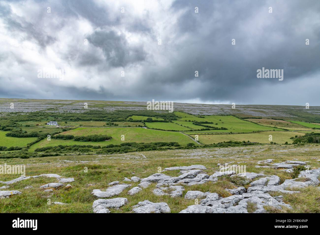 Pavé calcaire et champs pastoraux dans le Burren Banque D'Images