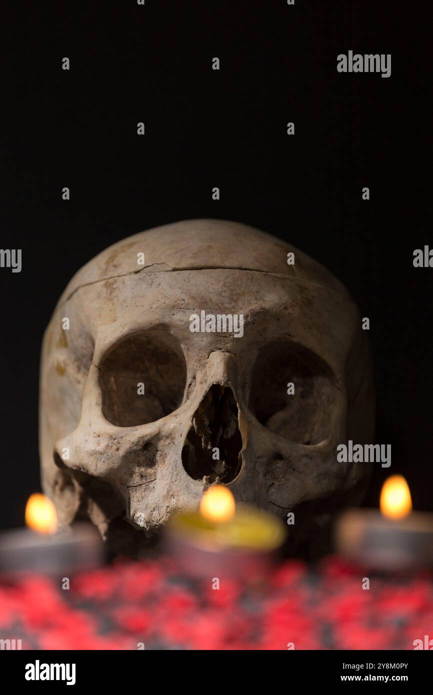 Crâne dans le noir, au premier plan des éléments rouges flous et quelques bougies allumées, allusion à la nuit des morts, peur à Halloween Banque D'Images