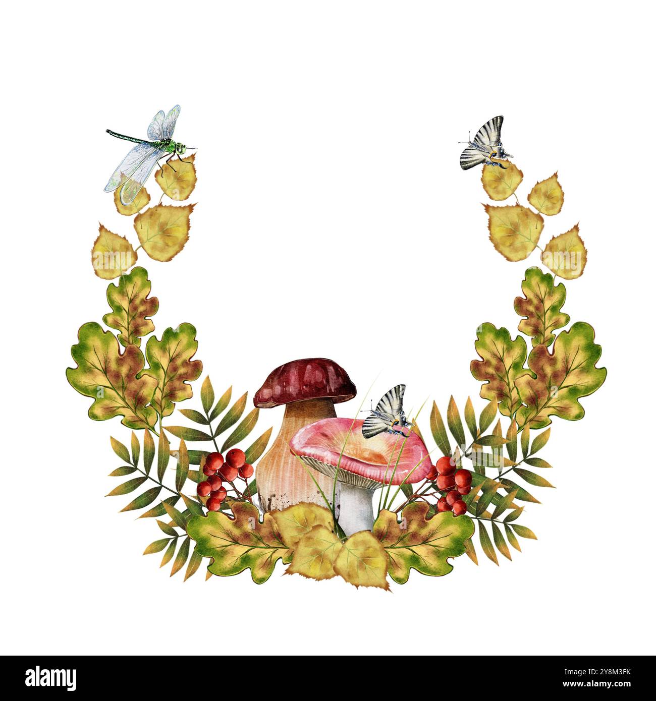 Cadre rond, couronne de champignons, cendres de montagne, baies rouges, feuilles de papillon et libellule. Illustration aquarelle sur fond blanc. impression typographique, textiles, décoration, design, logo Banque D'Images