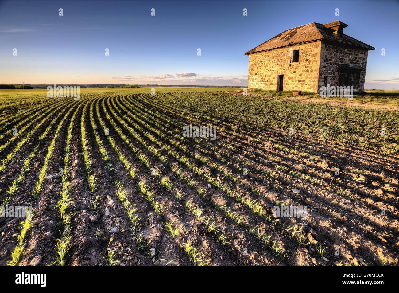 Coucher du soleil lumière Saskatchewan Farm abandonné Maison en pierre Banque D'Images