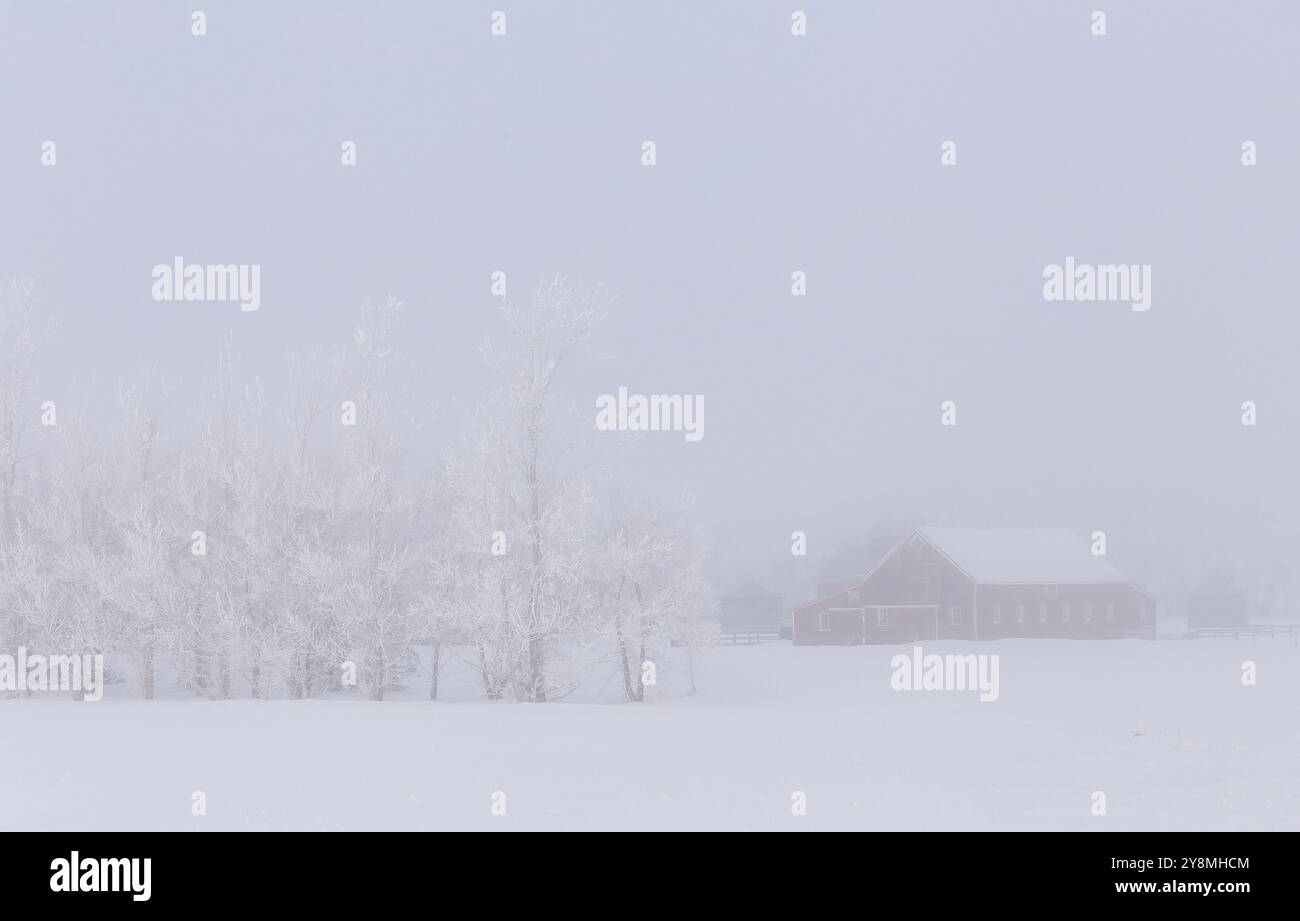 Prairie scènes d'hiver rural Saskatchewan Canada Frost Banque D'Images