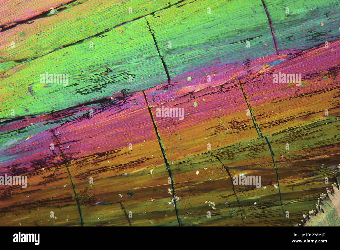 Le thulium est un élément de terre rare. Les cristaux sont précipités à partir d'une solution sur une lame de microscope et photographiés en lumière polarisée Banque D'Images