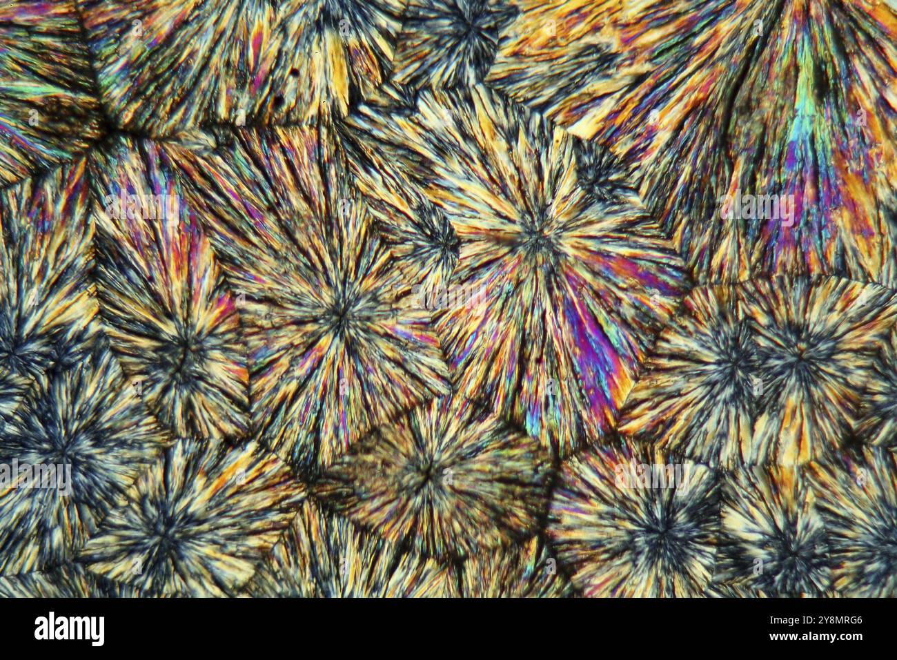 Cristaux de métamizole au microscope. Les cristaux sont précipités à partir d'une solution sur une lame de microscope et photographiés en lumière polarisée Banque D'Images