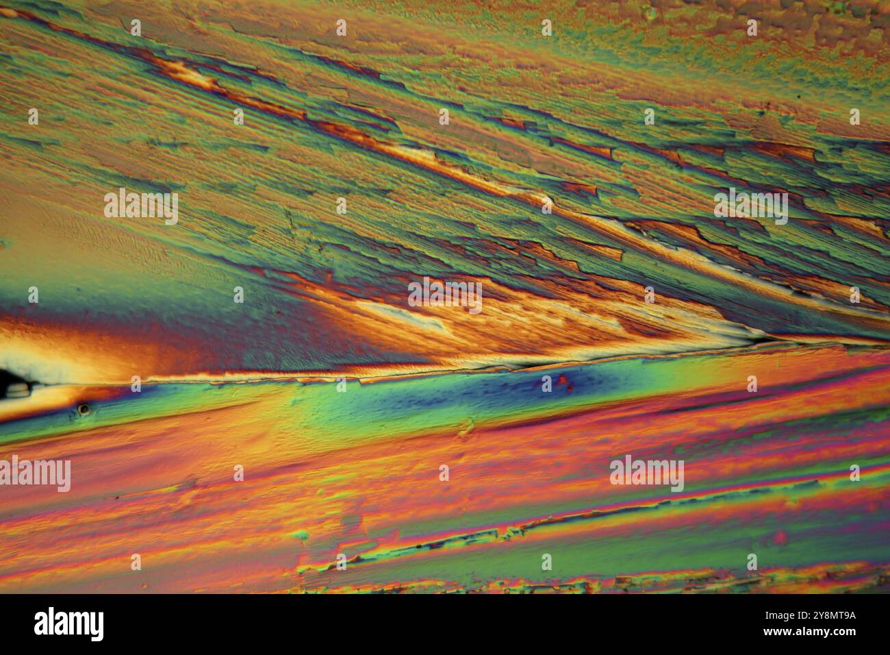 Le praséodyme est un élément qui appartient aux terres rares. Les cristaux ont cristallisé dans une solution aqueuse sur une lame de microscope et ont été p Banque D'Images