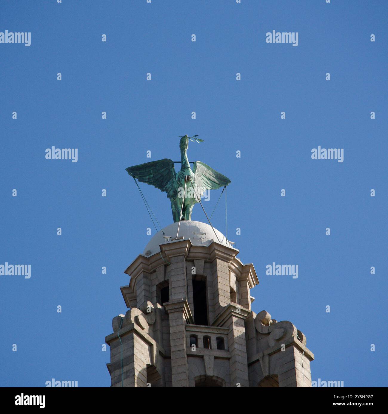 Liver Bird au sommet d'un bâtiment à Liverpool, Royaume-Uni Banque D'Images