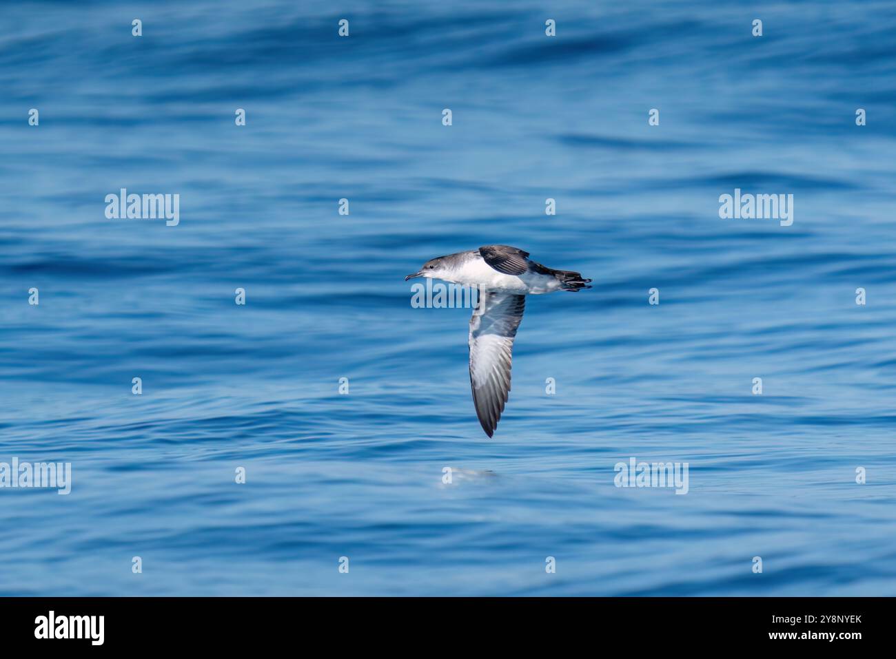 Une plongée sous-marine en arrière-plan sur une mer bleue ondulée. Turquie Banque D'Images