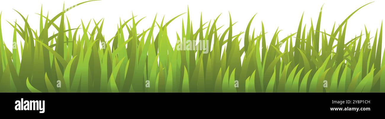 L'herbe verte fraîche isolé sur fond blanc Illustration de Vecteur