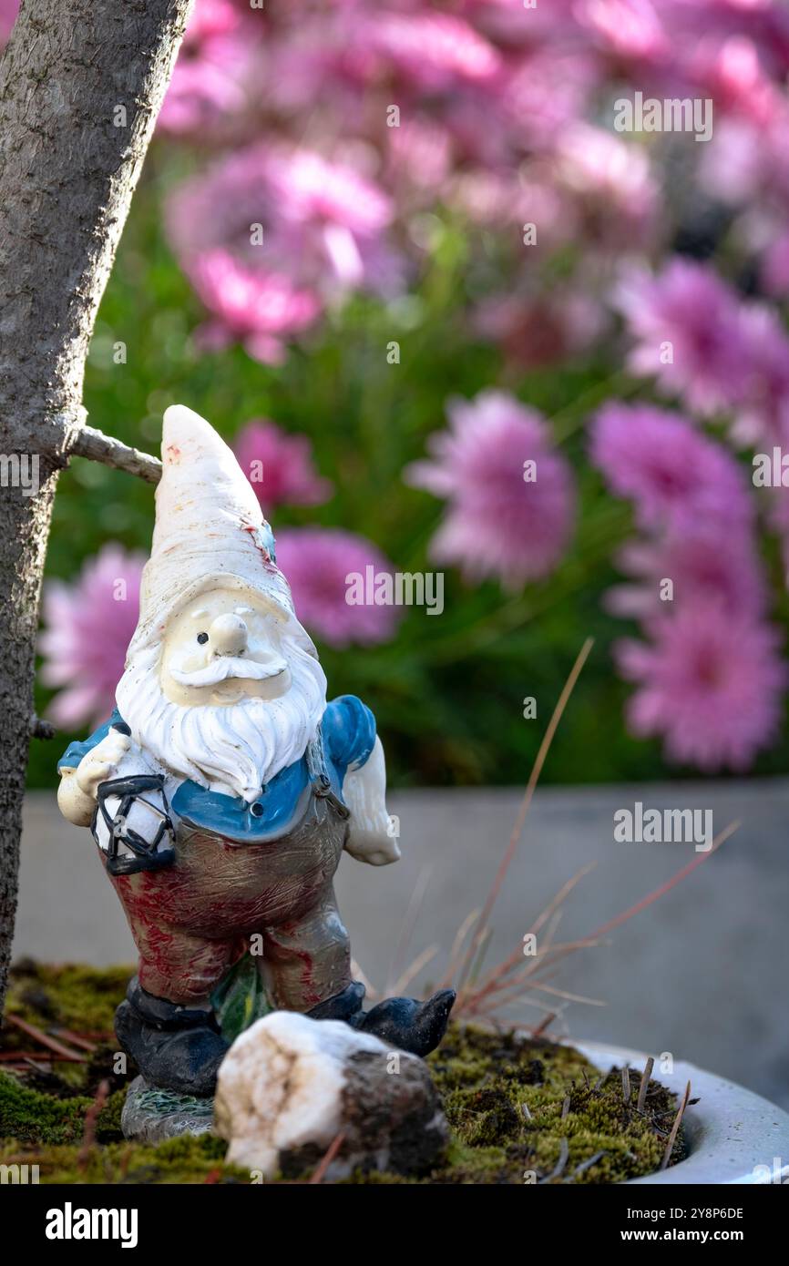 Petit gnome de jardin fané dans un jardin de balcon avec des fleurs violettes en arrière-plan. Banque D'Images