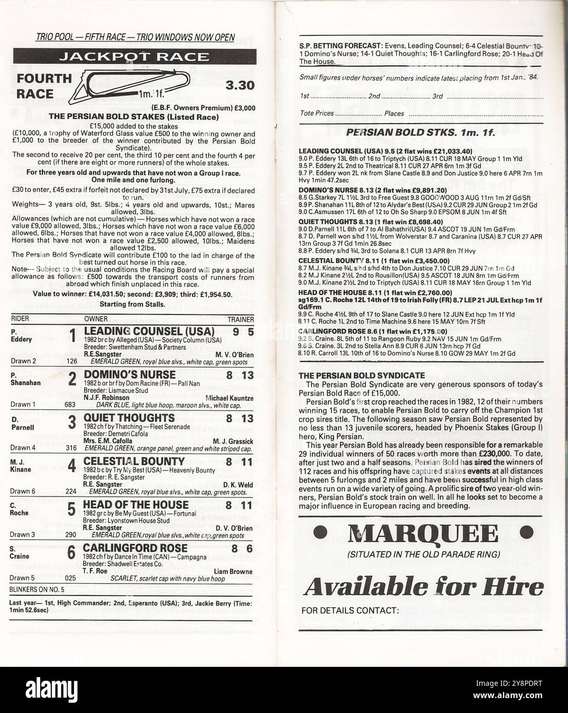 La carte de course pour les Persian Bold Stakes 1985 à l'hippodrome de Phoenix Park avec 15000 £ ajoutés aux enjeux. Banque D'Images