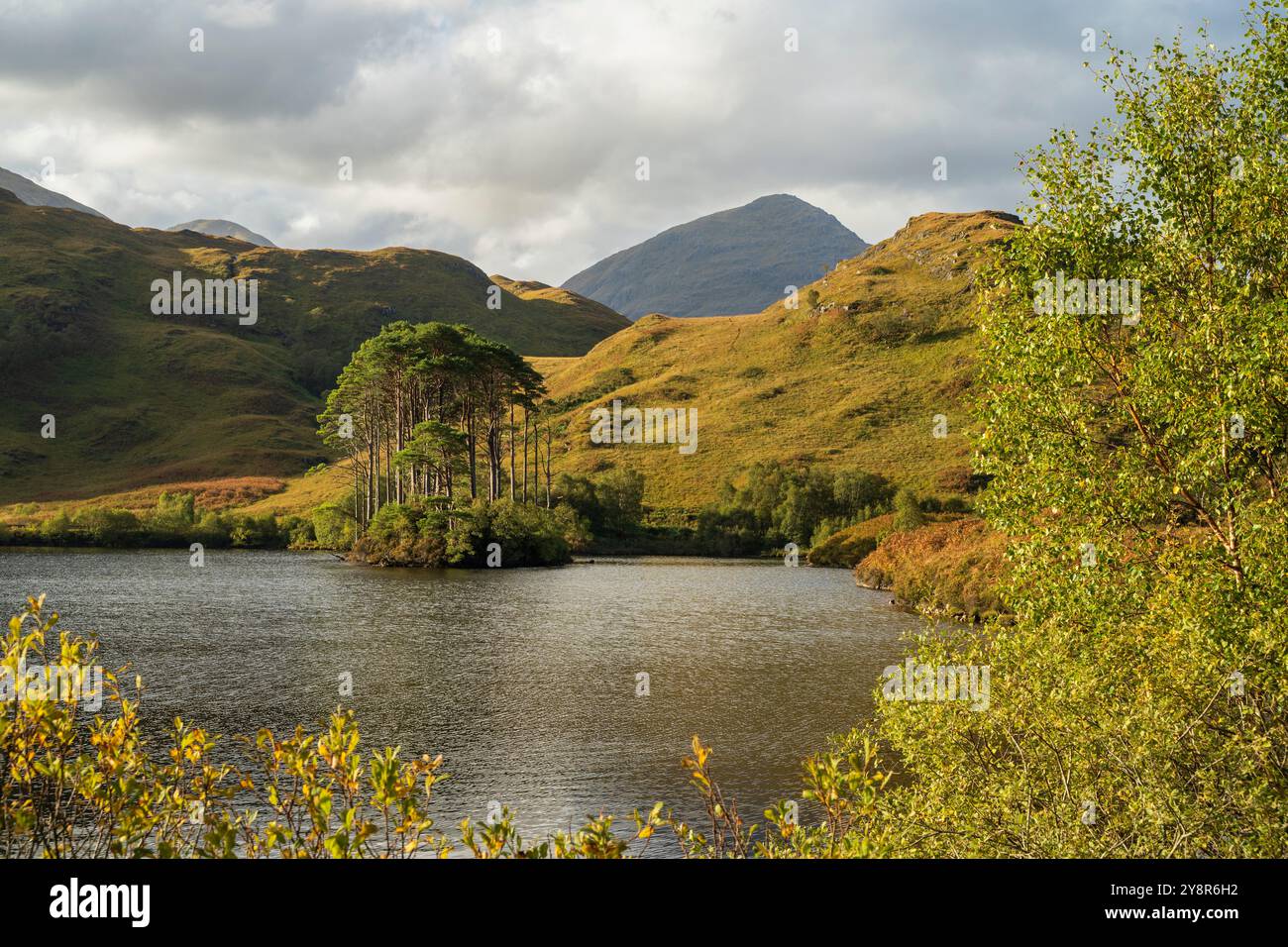 Eilean Na moine, sur le Loch Eilt le site supposé de la tombe d'Albus Dumbledore, Lochaber, Écosse, Royaume-Uni Banque D'Images