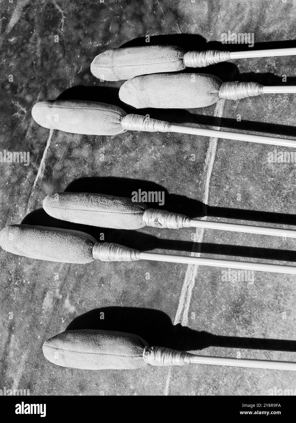 Image d'un haut d'une tête de tambour amérindienne avec six batteurs en noir et blanc Banque D'Images