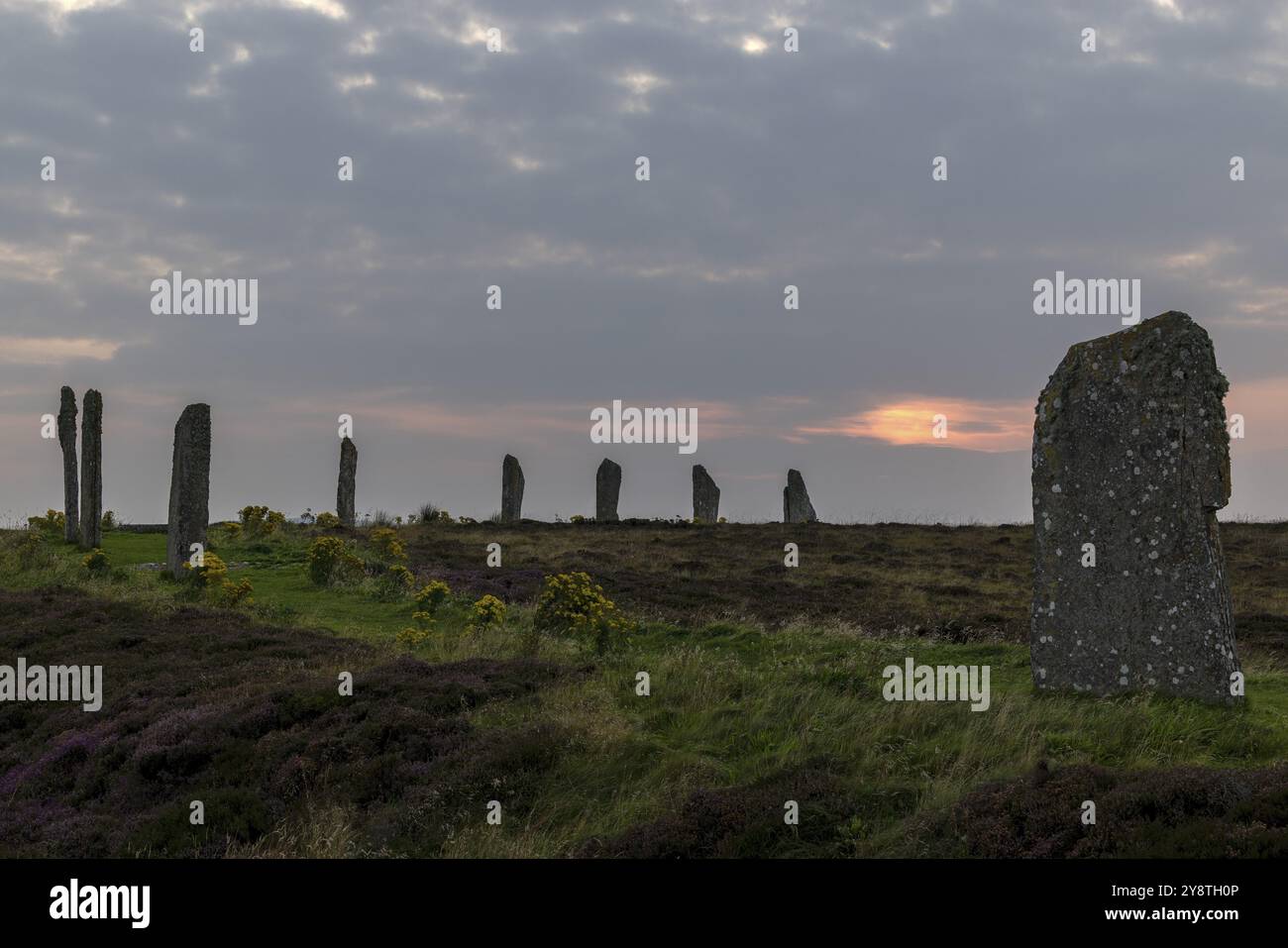 Coucher de soleil, anneau de Brodgar, cercle de pierre et douves, monument néolithique, site du patrimoine mondial de l'UNESCO, continent, Orcades, Écosse, Grande-Bretagne Banque D'Images