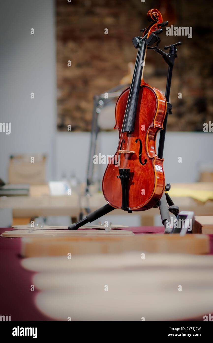 À Turin, il y a une école de violon baroque. L'un des plus anciens du pays. Banque D'Images