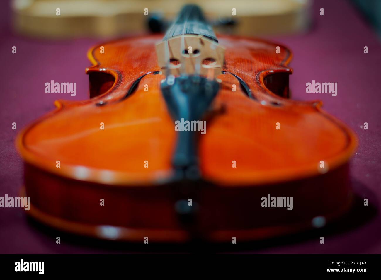 À Turin, il y a une école de violon baroque. L'un des plus anciens du pays. Banque D'Images