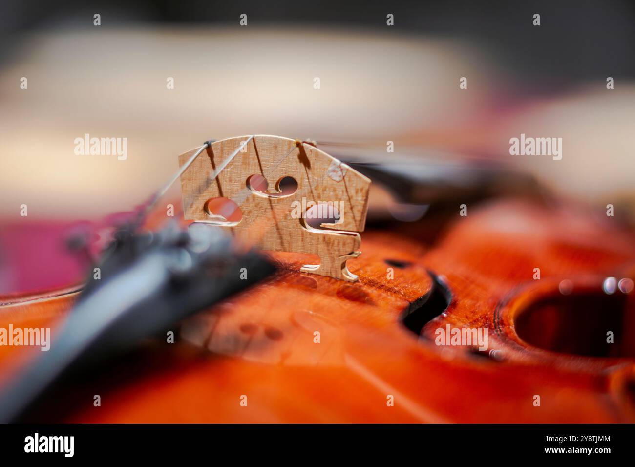 À Turin, il y a une école de violon baroque. L'un des plus anciens du pays. Banque D'Images