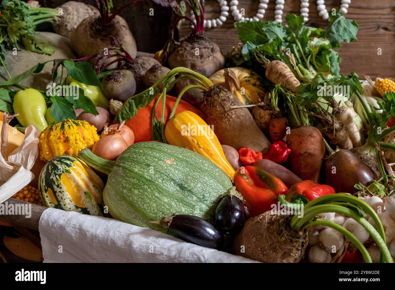 Légumes biologiques frais fraîchement récoltés du potager. Banque D'Images