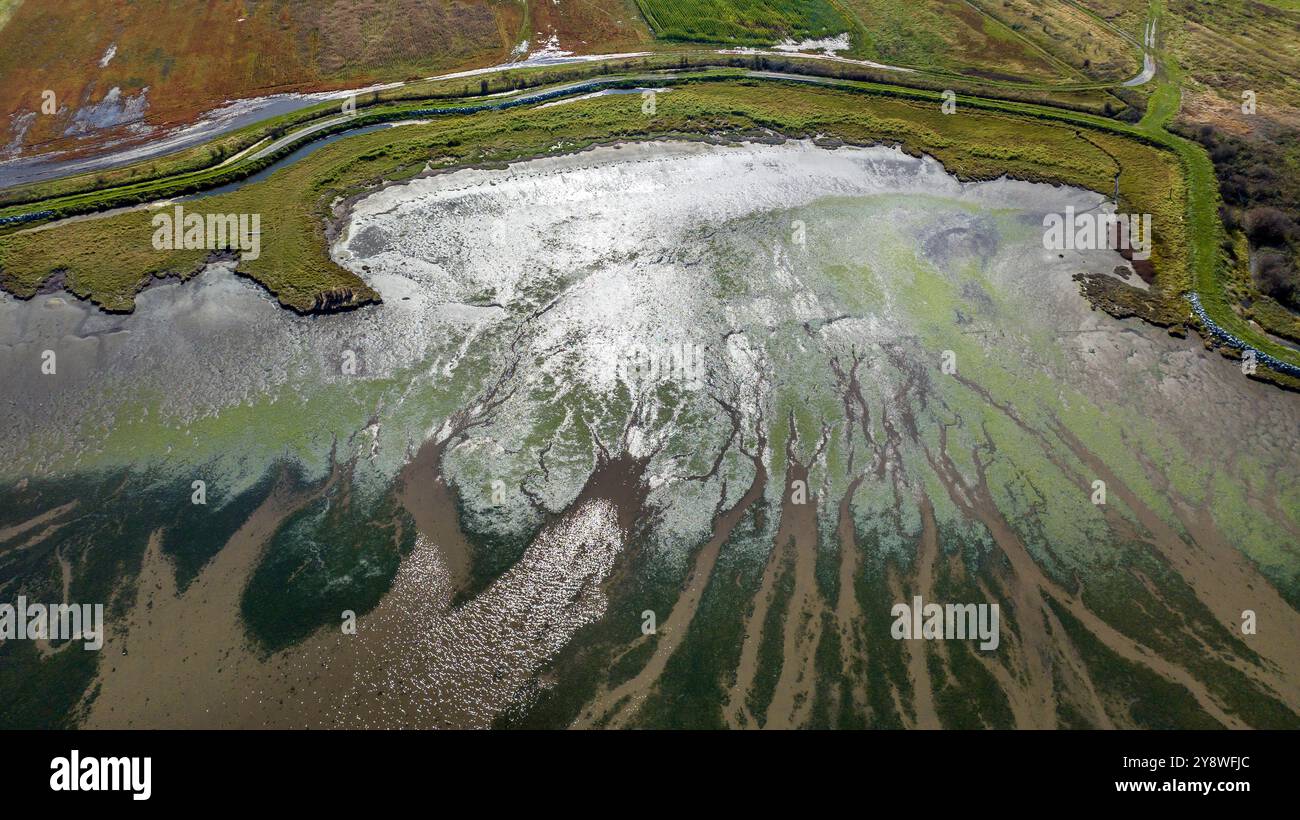 Marées plates à l'embouchure de la rivière Samish dans le comté de Skagit, Washington, États-Unis Banque D'Images