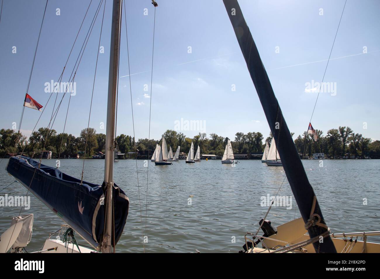 Serbie, 28 septembre 2024 : une régate de voile de Micro Class a eu lieu sur la Save à Belgrade Banque D'Images