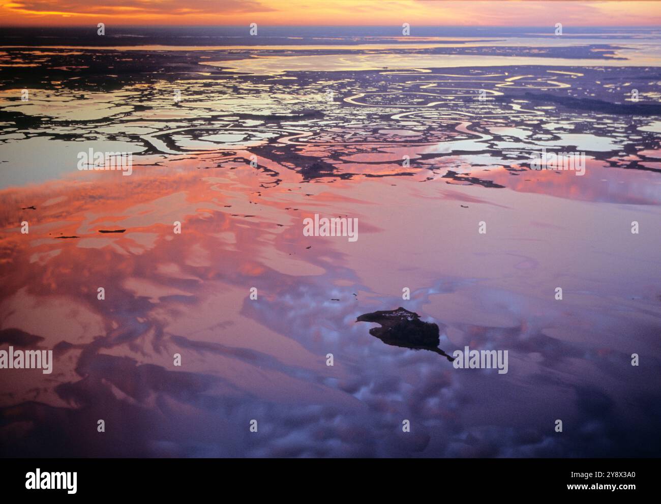 Sunrise, Blackwater National Wildlife refuge, MD. Banque D'Images