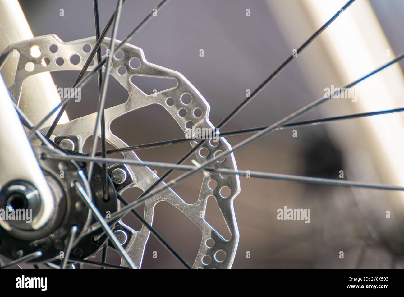 détail du disque de frein d'une roue avant d'un vélo de course de route professionnel Banque D'Images