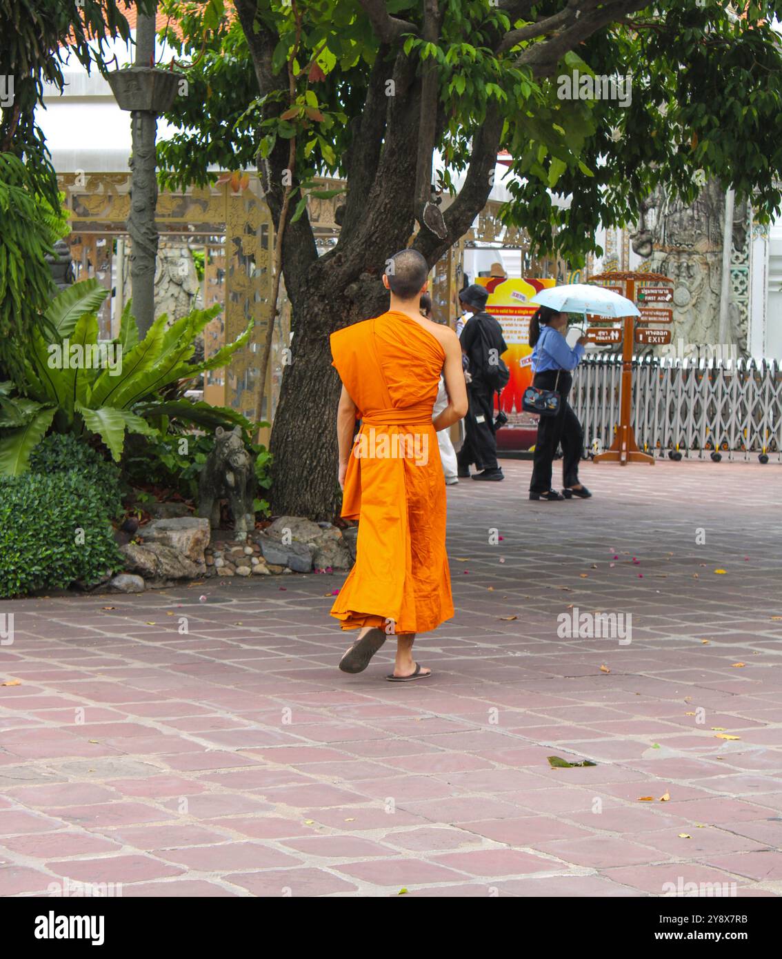 Bangkok. Un jeune moine bouddhiste par derrière alors qu'il marche dans le complexe du temple Wat Pho. Banque D'Images