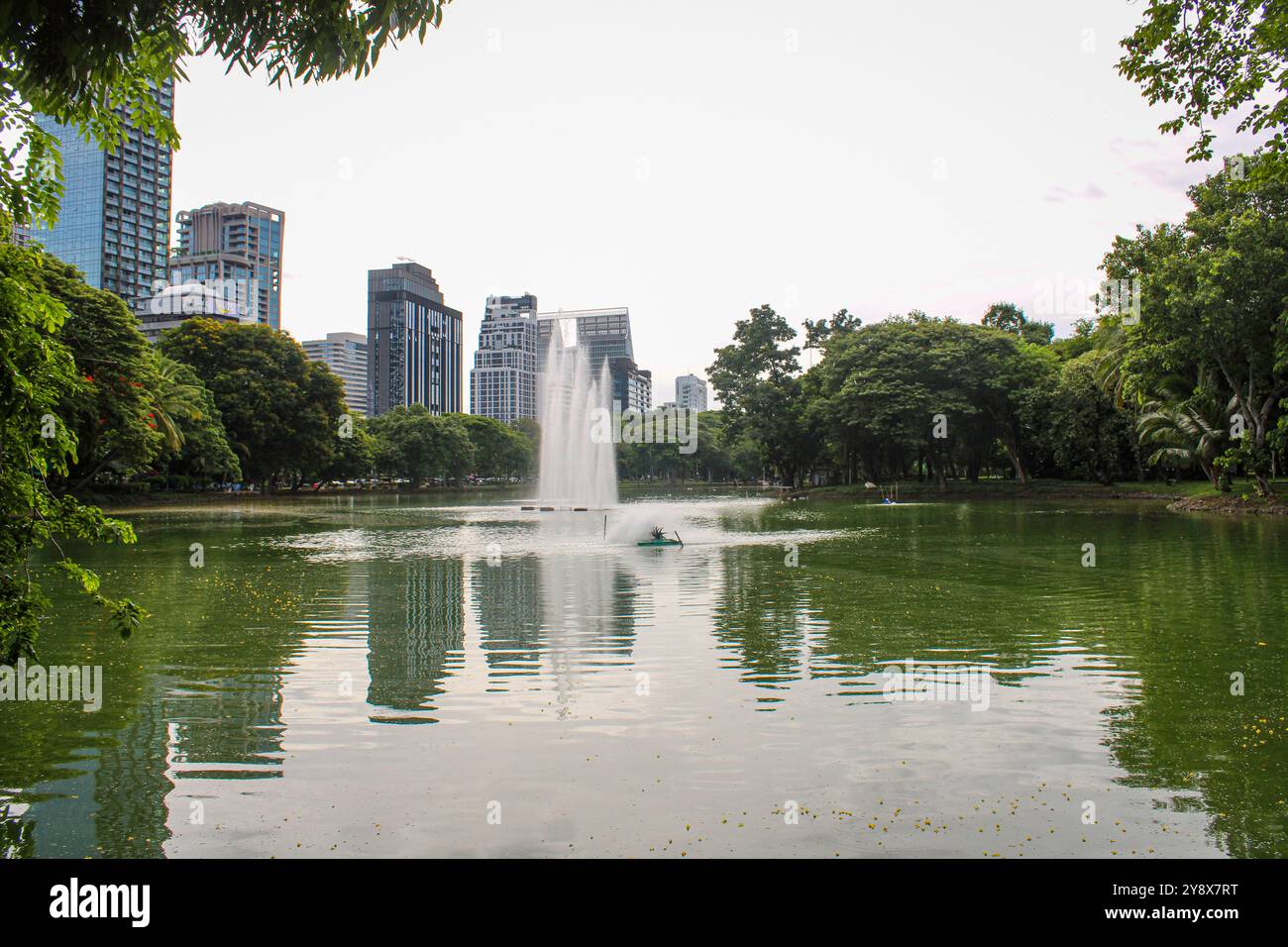 Bangkok. Lumphini Park est un parc situé à Bangkok, en Thaïlande. Le parc offre de rares espaces publics ouverts, des arbres et des aires de jeux et contient un lac artificiel où les visiteurs peuvent louer des bateaux. Le lac abrite de nombreux lézards moniteurs, y compris les plus grands, qui peuvent être facilement repérés. Lumphini Park est considéré comme le premier parc public de Bangkok et de Thaïlande. Banque D'Images