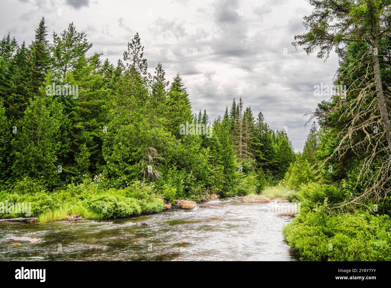 Parc national de la Mauricie, Québec, Canada Banque D'Images