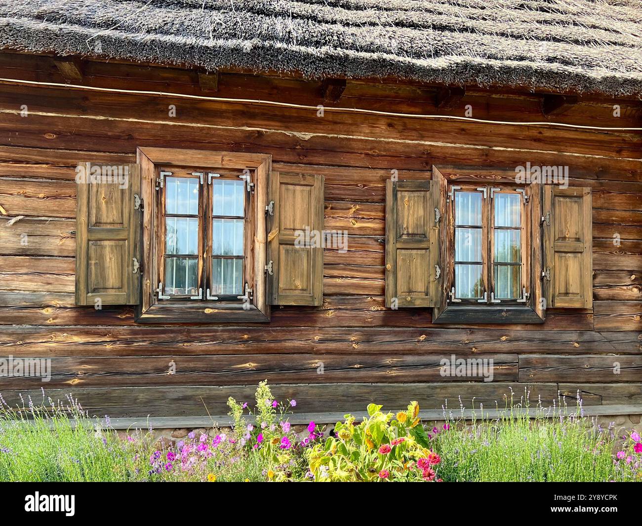 Fenêtres d'une vieille maison en bois avec un toit de chaume, encadrées par des fleurs au premier plan. Charme rustique, vie à la campagne, architecture traditionnelle, - Image de stock capturée avec un smartphone