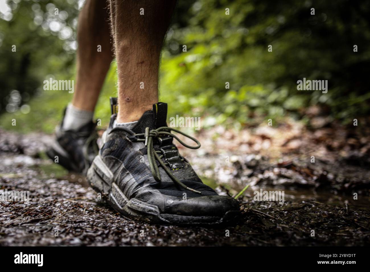 Chaussures de trail running d'un athlétique non reconnu construit coureur masculin courir sur un sentier forestier en saison d'automne Banque D'Images