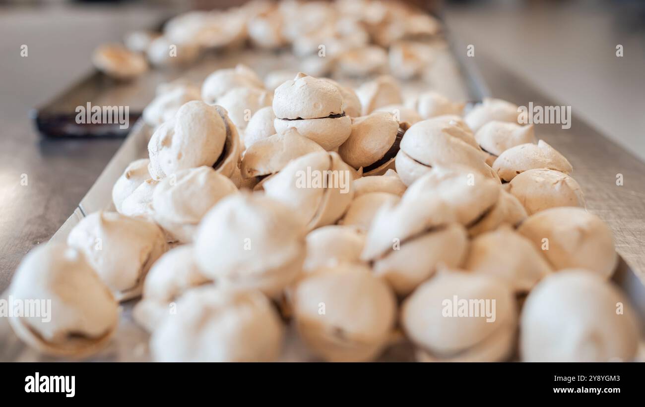La 'Dronerese al Rhum', une pâtisserie au chocolat typique des vallées de Cuneo, dans le Piémont, Italie. Banque D'Images